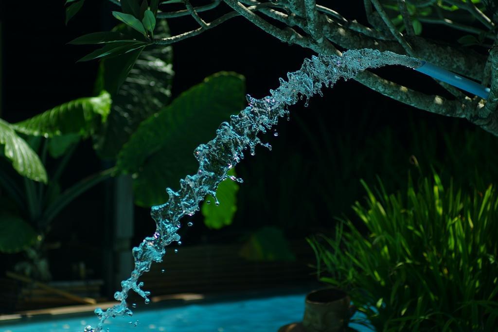 Chandra Residence เชียงใหม่ ภายนอก รูปภาพ